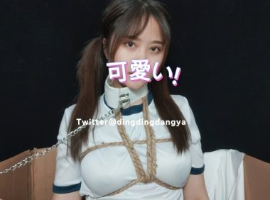 26011004   叮叮当呀 9套合集 487P-1.14G