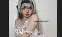 25020411  DreamlikeUwU – 崩铁流萤 34P+6V-793M